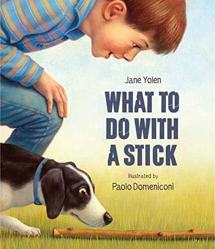 What to Do with a Stick - Paperback, by Yolen Jane - Very Good
