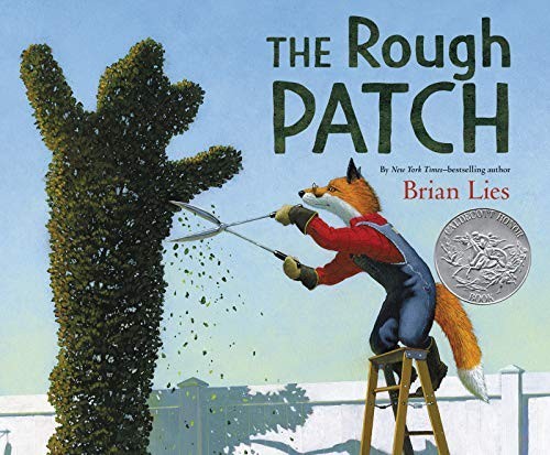 The Rough Patch: A Caldecott Honor Award Winner by Lies, Brian Hardback Book TheFREE US DELIVERY | ISBN: 0062671278 | Quality Books