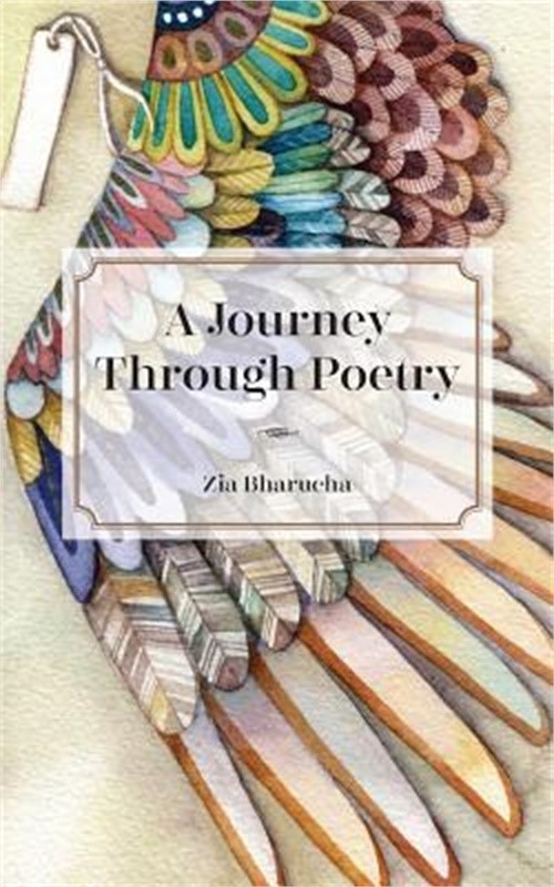 A Journey Through Poetry (Paperback or Softback)