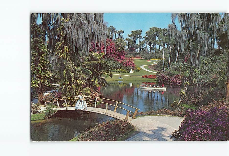 Postcard Tropical vegetation in Florida Cypress Gardens Florida USA
