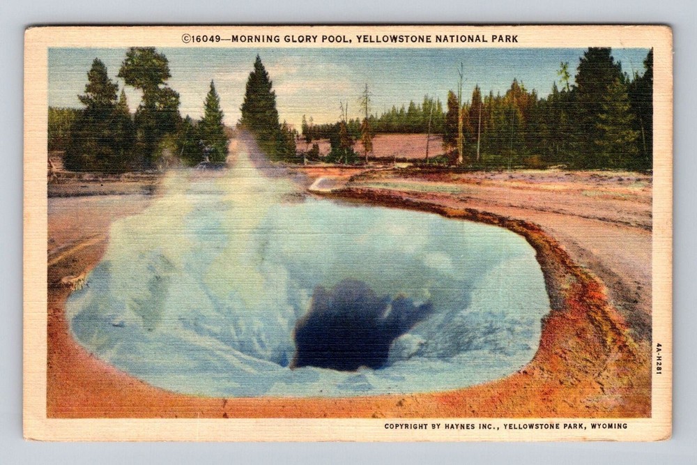 Yellowstone National Park, Morning Glory Pool, Series #16049 Vintage Postcard