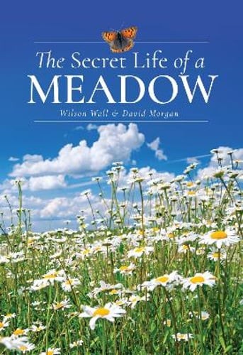 The Secret Life of a Meadow by Wilson Wall: Used