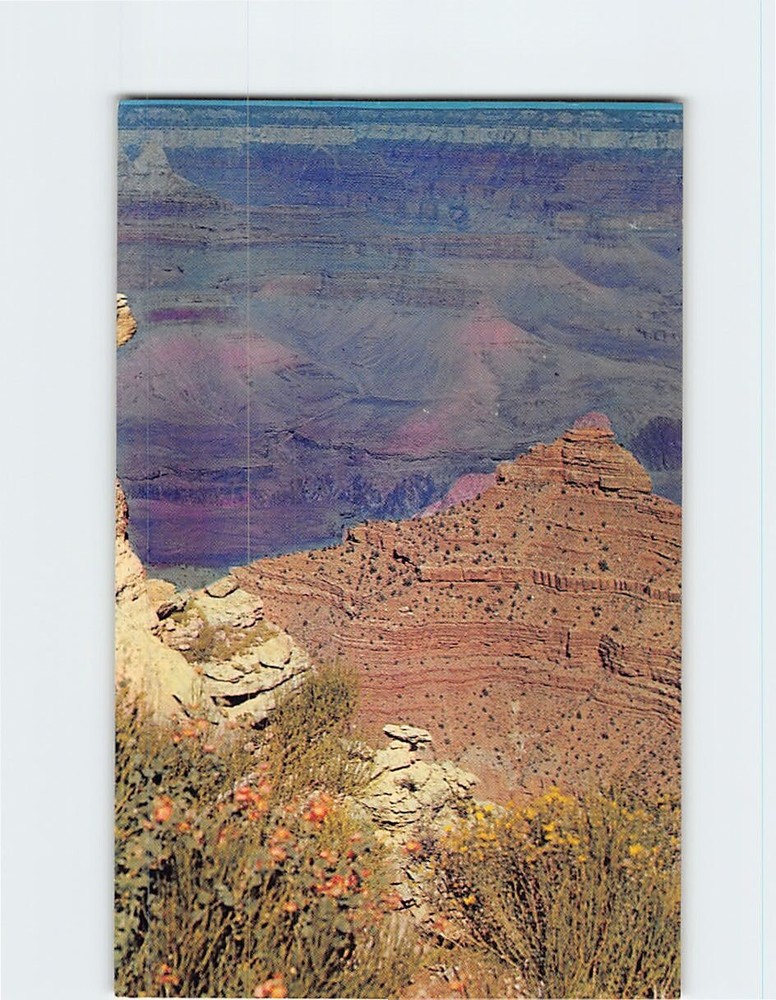 Postcard Grand Canyon National Park Arizona USA