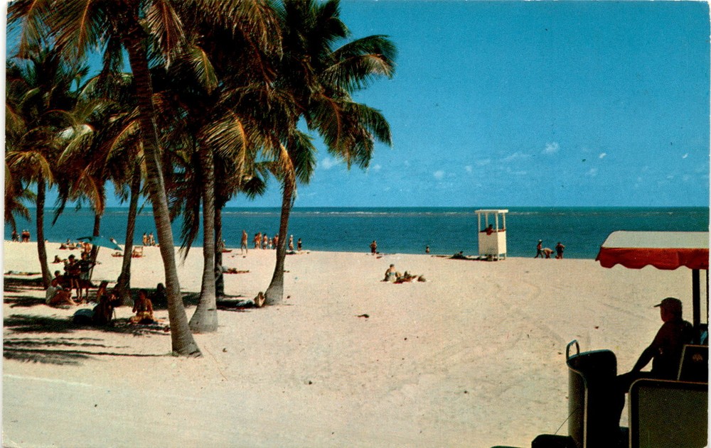 Crandon Park, Miami, Florida, Key Biscayne, Port Richie, Miami, Postcard