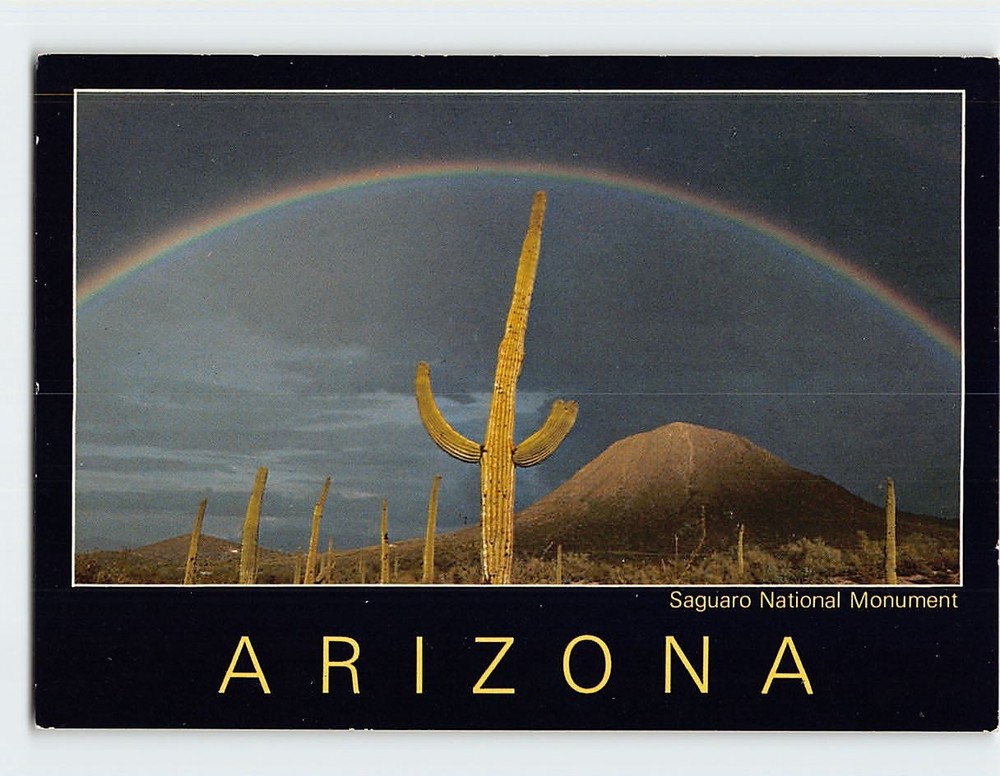 Postcard Saguaro National Monument Arizona USA