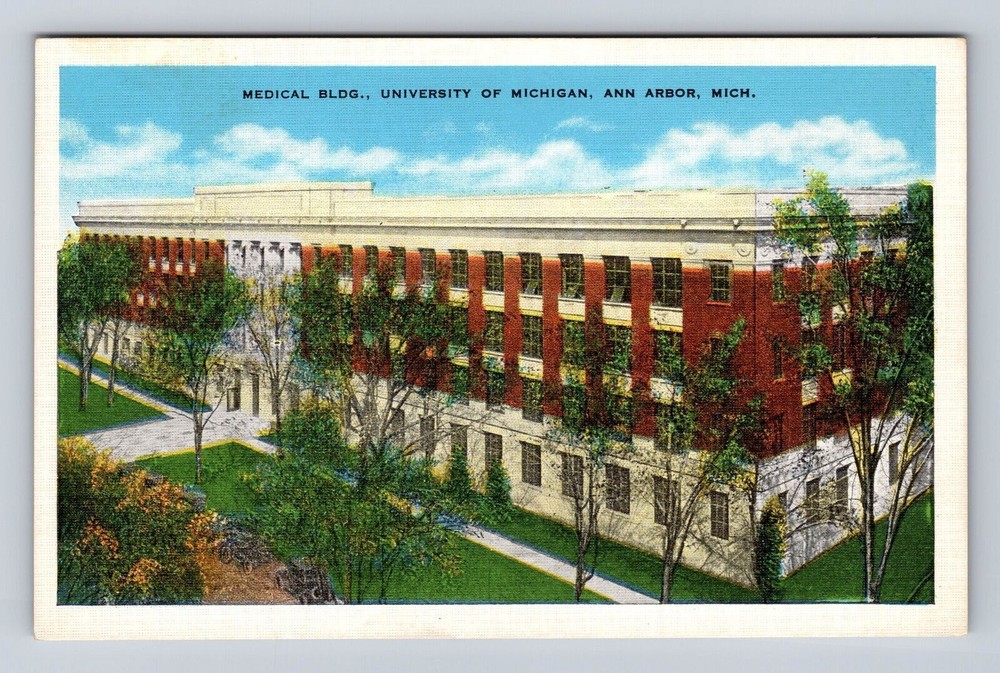 Ann Arbor MI-Michigan, University of Michigan, Medical Building Vintage Postcard