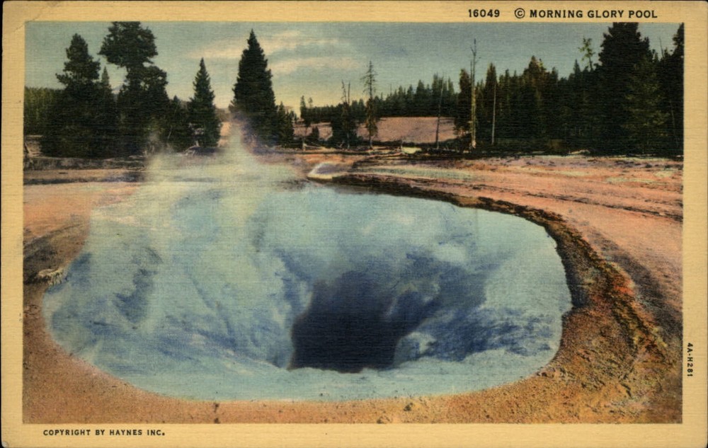 Yellowstone Natl Park Wyoming Morning Glory Pool vintage linen postcard