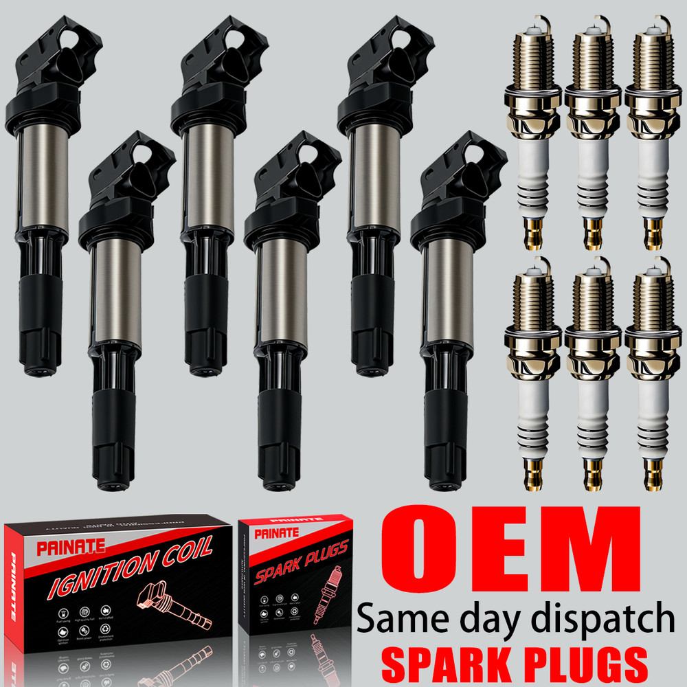 6X OEM Ignition Coil & Iridium Spark Plug For BMW 328i 330 530 X5 X6 UF515 UF522