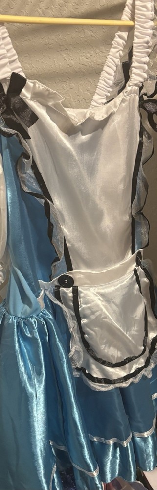 Alice In Wonderland Women’s Costume- Size Adult S/M