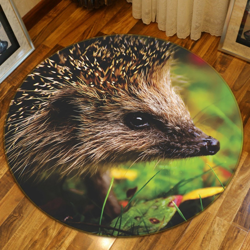 3D Grass Hedgehog Non-Slip Rug Mat Elegant Photo Carpet O1588