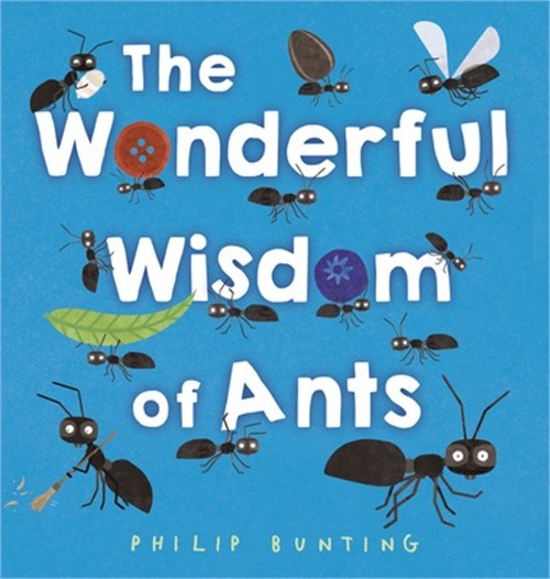 The Wonderful Wisdom of Ants (Hardback or Cased Book)