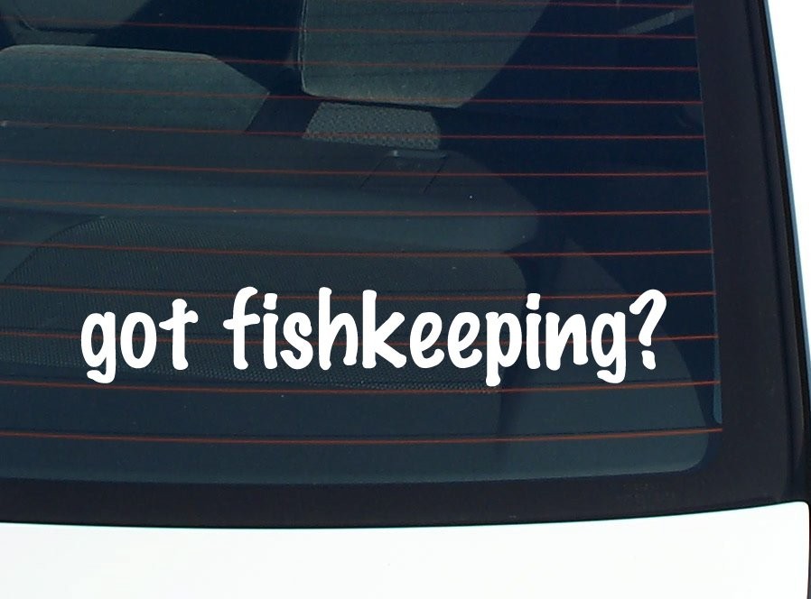 Got Fishkeeping Funny Car Decal Bumper Sticker Vinyl Window Joke