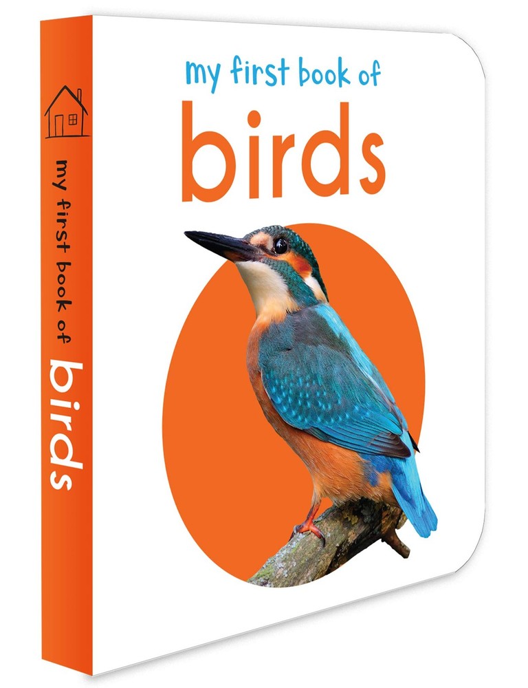 My First Book of Birds: Board White