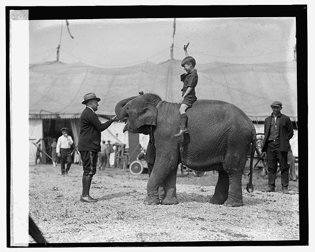 Photo:Teddy Roosevelt at circus, [5/13/24]