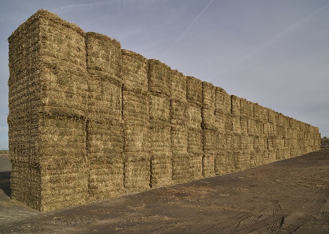 Photo:Moses Lake Washington 2018 Hay Bales Field Row