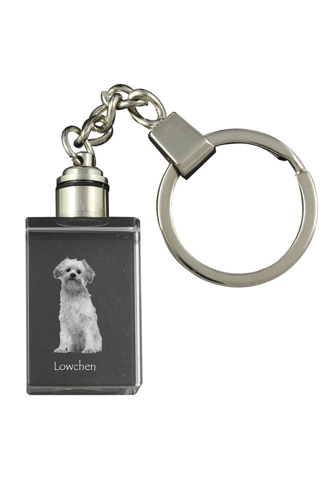Löwchen - Crystal Keychain With Dog Photo, Illuminated Keychain
