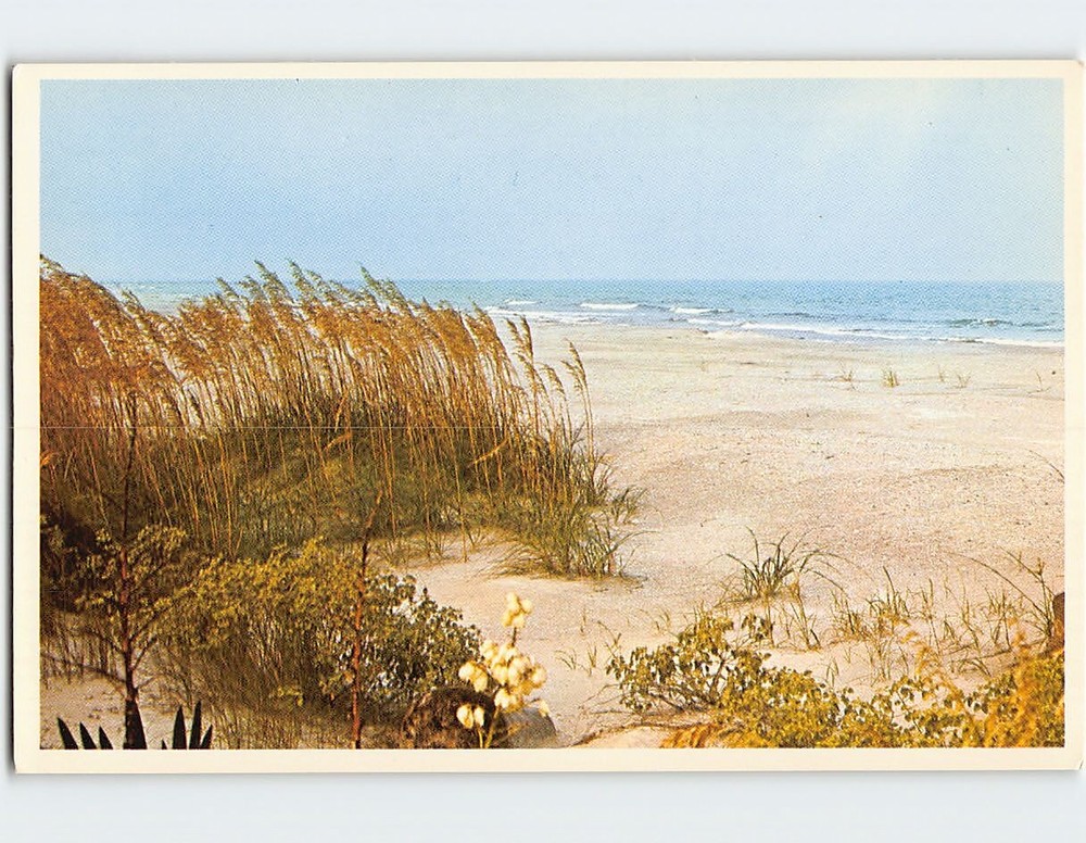 Postcard Beach Scene
