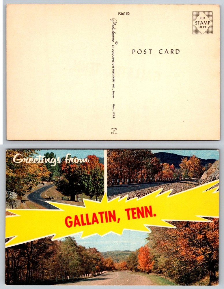 Greetings from Gallatin TN Postcard Autumn Fall Foliage Scenic Road Plastichrome