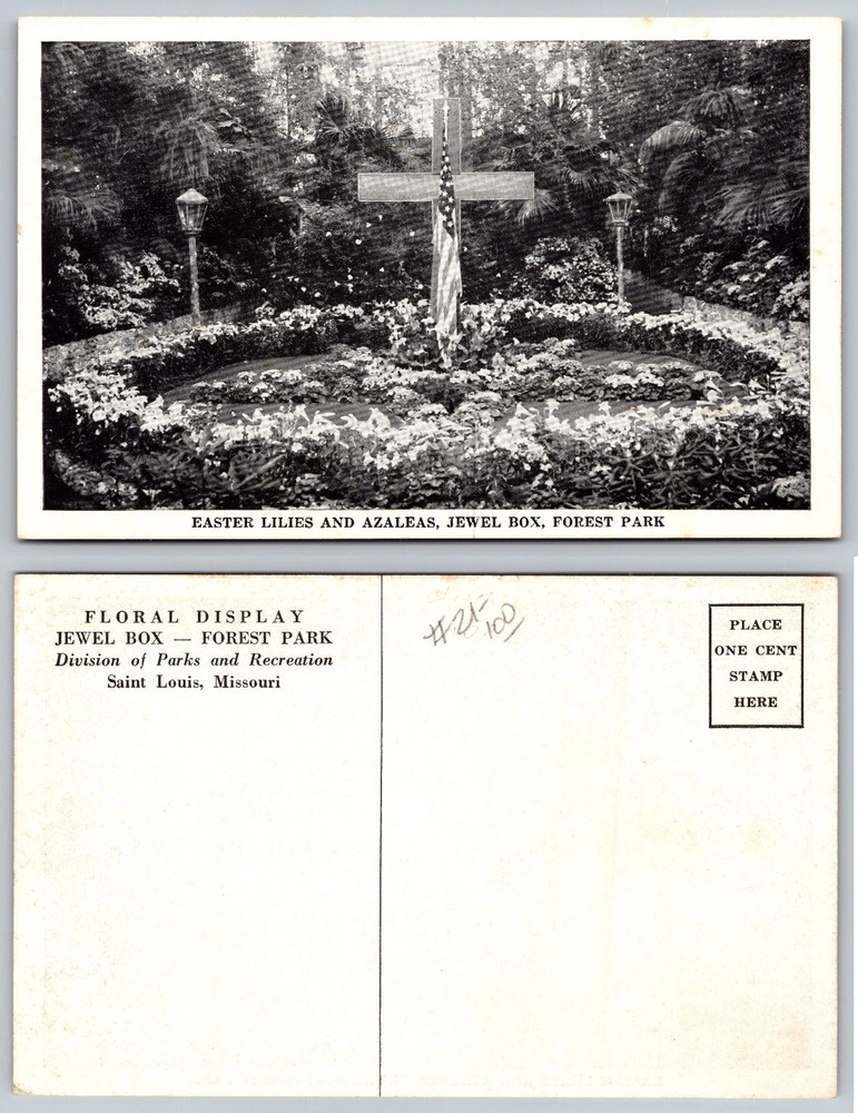 Easter Lilies Azaleas Jewel Box Forest Park St Louis MO Postcard