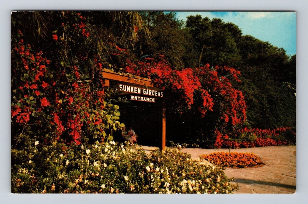 St Petersburg FL- Florida, Sunken Gardens, Antique, Vintage Souvenir Postcard