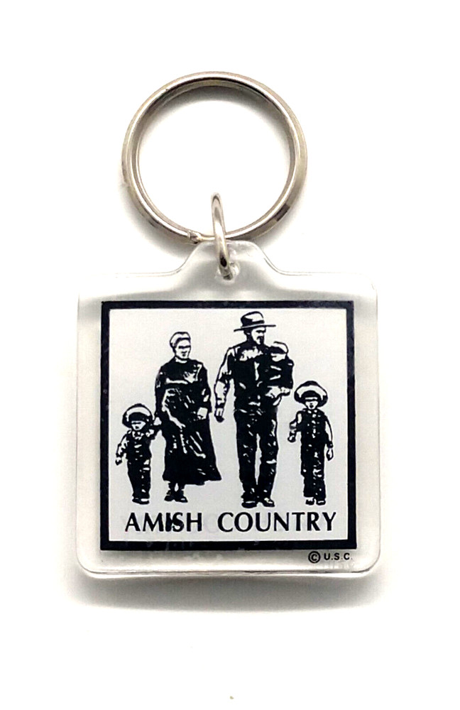 Vintage Amish Country Family Carriage Farm Horses Keyring Keychain