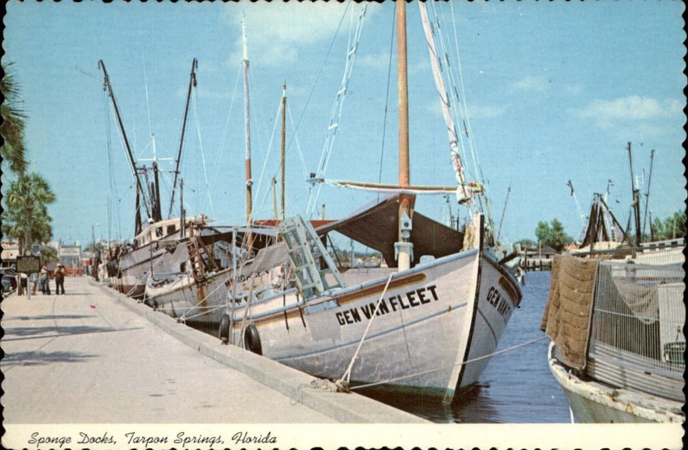 Florida Tarpon Springs Sponge Docks boats fleet ~ postcard sku239