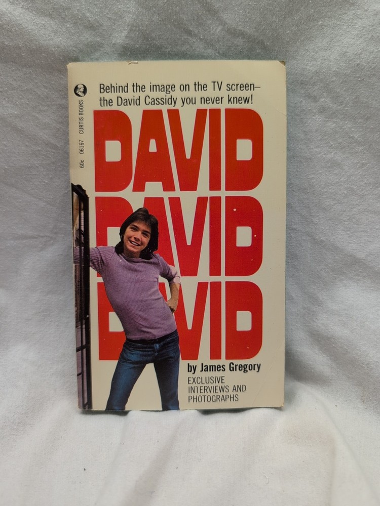 Vtg. 1972 David David David by James Gregory PB w/ Photos & Exclusive Interviews