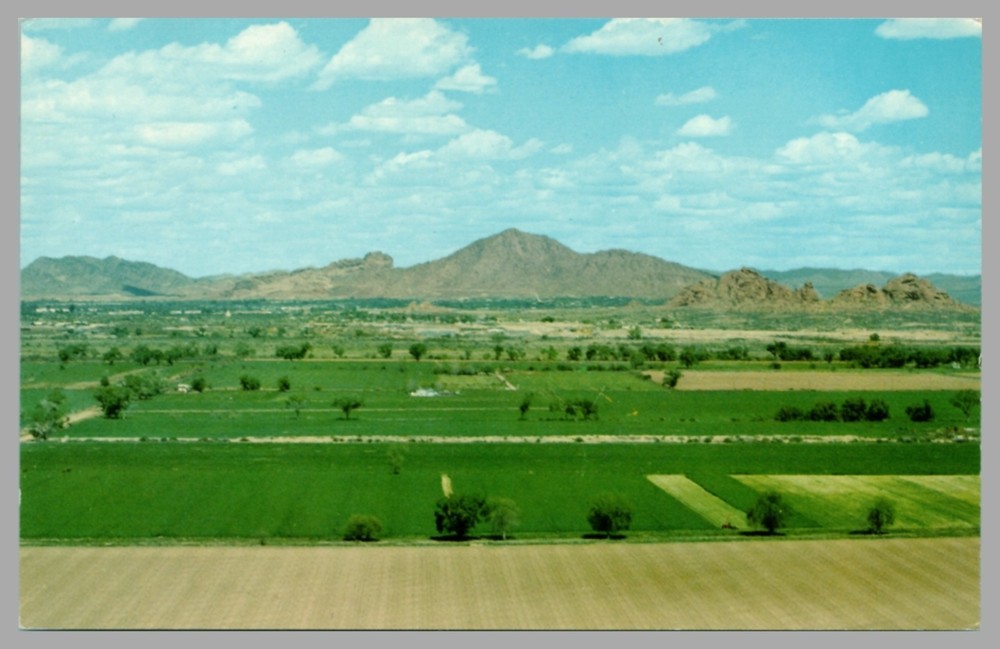 Desert Oasis Camelback Mountain Phoenix Arizona Chrome c1960 Vintage Postcard