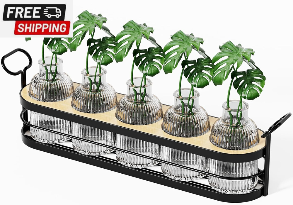 Plant Propagation Stations,Plant Terrarium for Propagating Hydroponic,Glass Plan