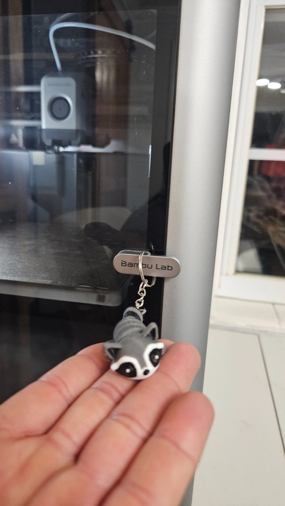 Cute 3D Printed Raccoon Keychain – Flexible Animal Key Ring, Fidget Toy Gift