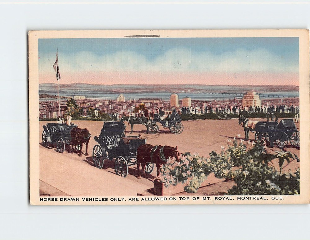 Postcard Horse Drawn Vehicles Mount Royal Montreal Quebec Canada