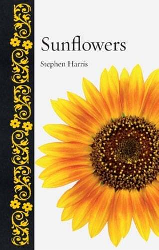 Sunflowers by Dr. Harris, Stephen A: Used