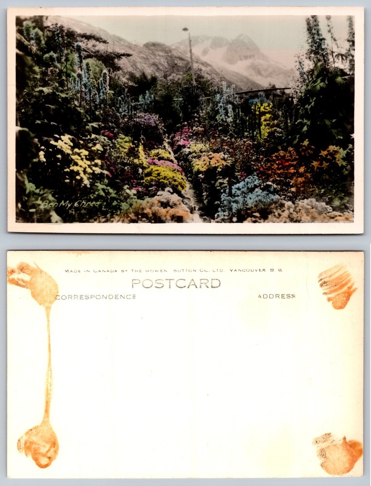 Mountain Garden Flowers Postcard