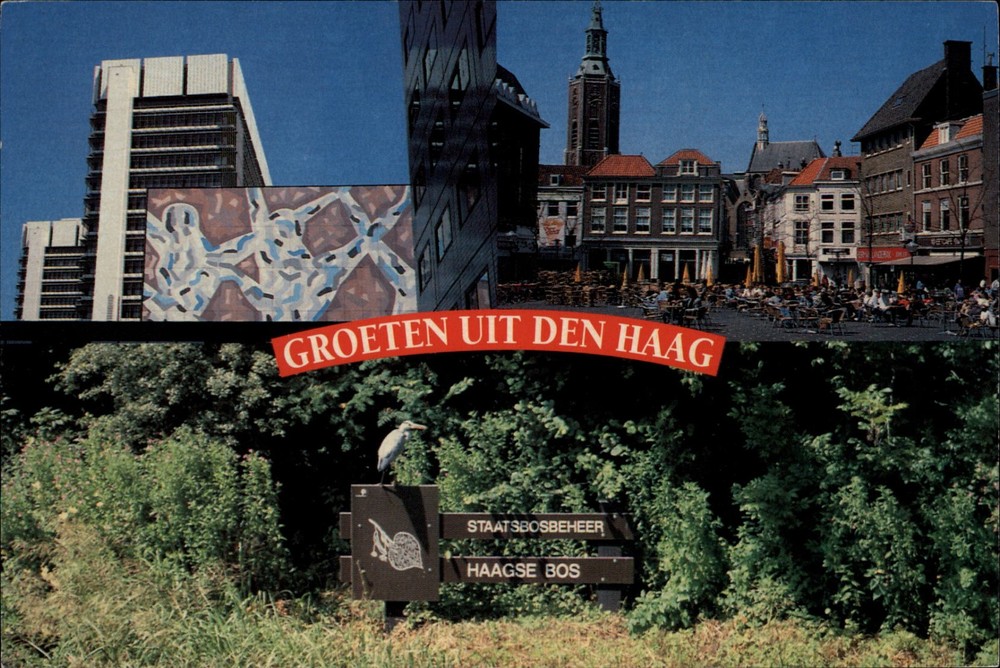 Greetings From Den Haag Gruss Aus vintage postcard m291