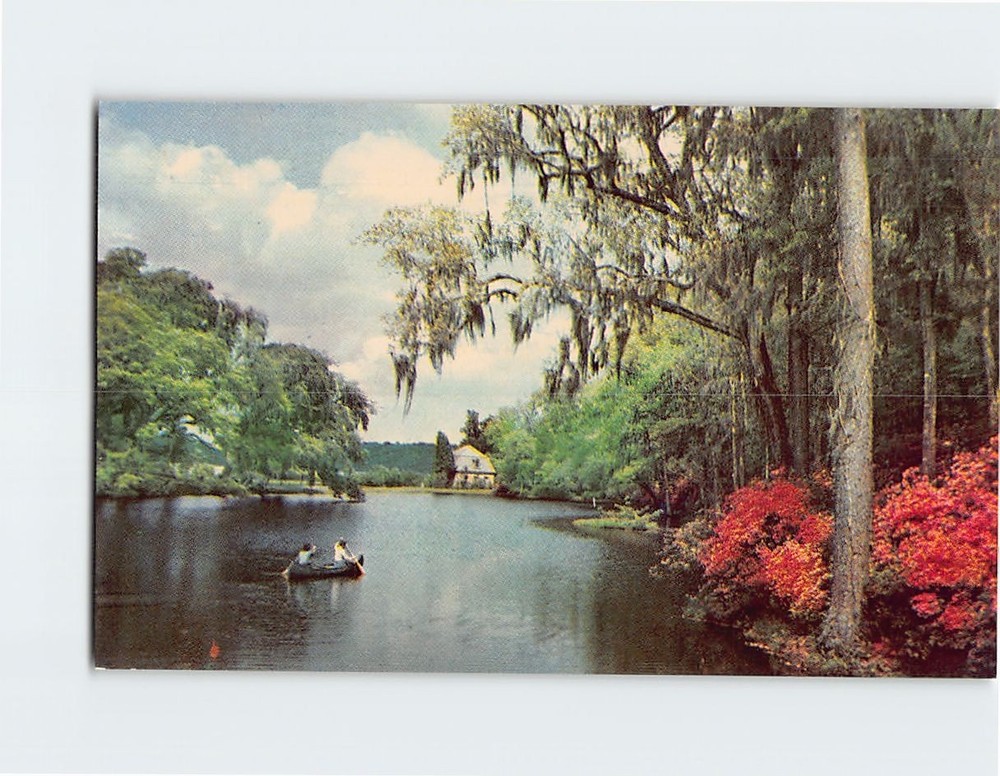 Postcard Rice Mill Pond Middleton Gardens Charleston South Carolina USA