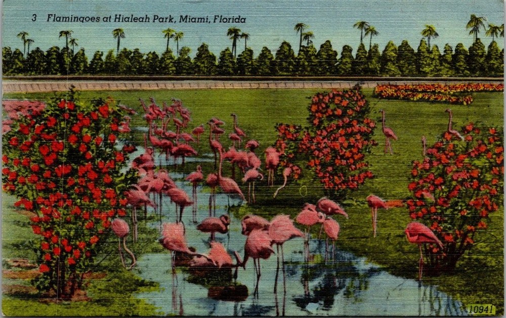 Vintage 1946 Linen Postcard Hialeah Park Miami Florida Flamingos Palm Trees