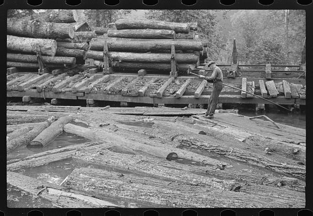Photo:Erwin West Virginia 1938 Logs to Sawmill Lumber Worker