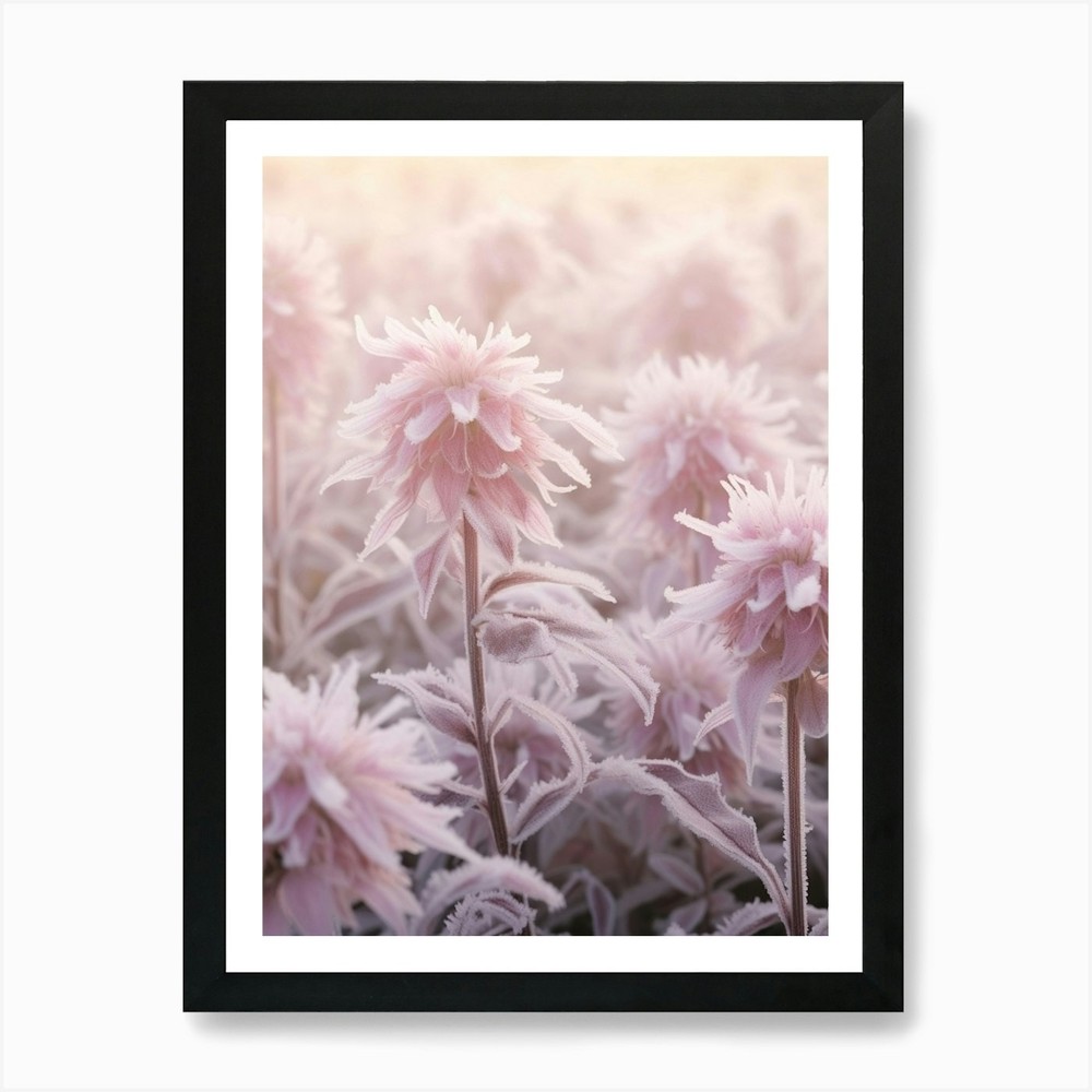 Frosty Botanical Bee Balm Framed Wall Art Canvas Print Poster