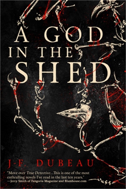 A God in the Shed (Paperback or Softback)