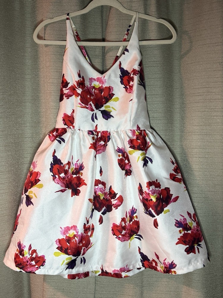 Bailee Blue Girls Fit & Flare Floral Tulle Dress White Red Pink 5/6 Easter