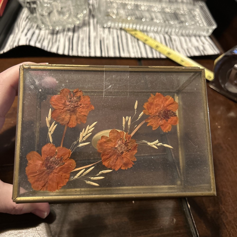 Vintage Brass Acrylic Trinket Jewelry Box California Blossoms