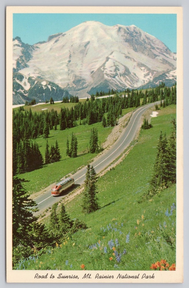 Mount Rainier National Park Washington, Road to Sunrise Scenic View VTG Postcard