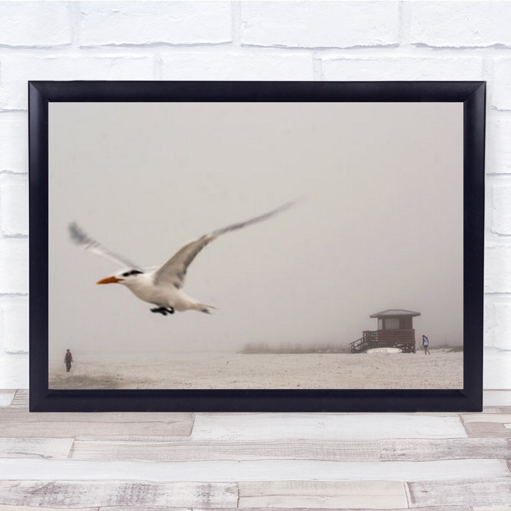 Rescue Close Up Bird Flying Blurry Motion Beach Wall Art Print
