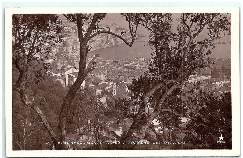 S03-9557, Monaco, Monte Carlo A Travers Les Oliviers, Real Photo Postcard