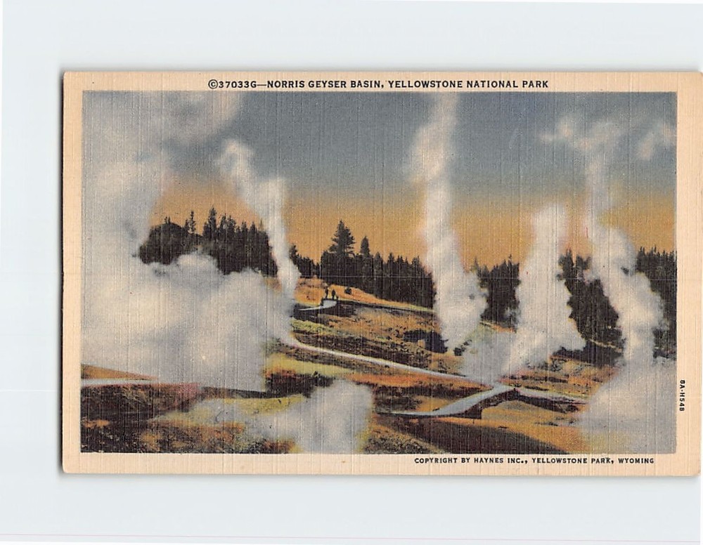 Postcard Norris Geyser Basin Yellowstone National Park Wyoming USA