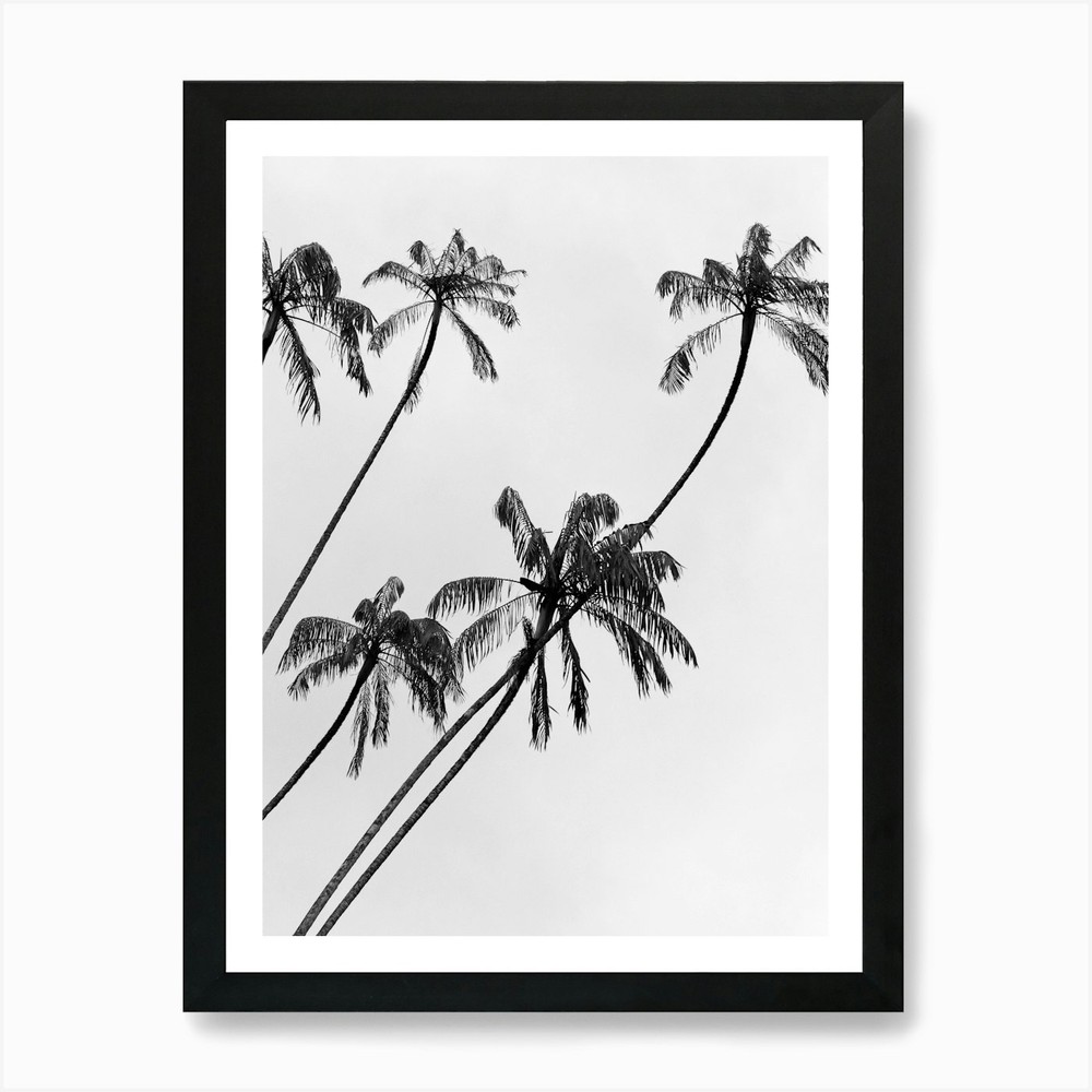 Palm Trees In The Sky Art Print Framed Wall Art Poster Canvas Print Picture