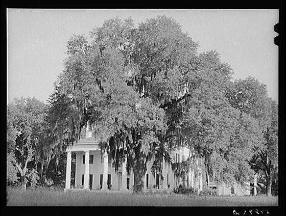 Rodney,Jefferson County,MS,Mississippi,Marion Post Wolcott,July 1940,FSA,5