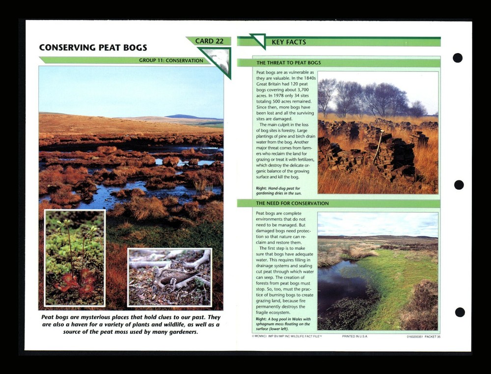Peat Bog Wildlife Conservation Fact File Card Homeschool Resource 11.22