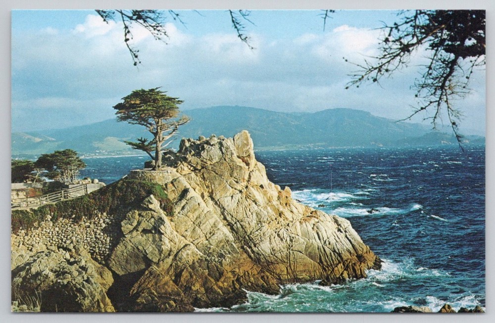 The Lone Cypress Pebble Beach California Postcard John Hinde Curteich