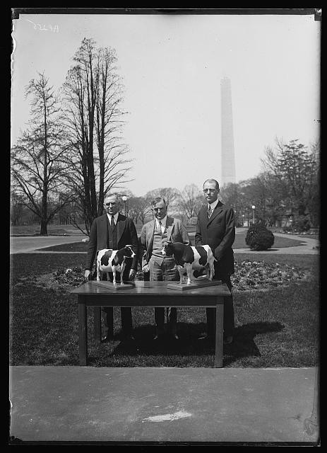 Photo:Washington DC Henry C Wallace 1930s Washington Monument Cow Figures
